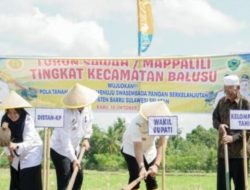 Wabup Barru Ajak Petani Lestarikan Tradisi Mappalili