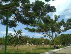 Tabe Buya Hiasi Alun-Alun Barru, Bupati Lanjutkan Gerakan Hijau Kota