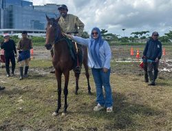 Pordasi Sulsel Gelar Event Kejuaraan Berkuda dan Memanah Juara Gubernur, Vonny Harap Bisa Jadi Wisata Religi 