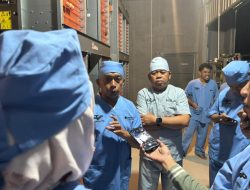 Peternakan Modern Dorong Produksi Telur di Sidrap