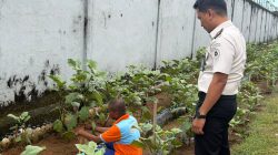 Optimalisasi Lahan Perkebunan, 100 Karung Pupuk Dukung Kembangkan Perkebunan Lapas Narkotika Sungguminasa