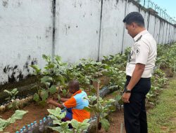 Optimalisasi Lahan Perkebunan, 100 Karung Pupuk Dukung Kembangkan Perkebunan Lapas Narkotika Sungguminasa