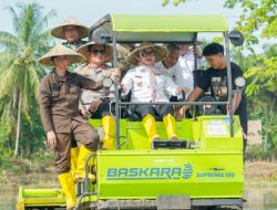 Komitmen Tingkatkan Hasil Pertanian, Bupati Barru Laksanakan Percepatan Tanam Program Optimasi Lahan