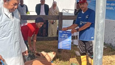 Gelar Festival Qurban, Bosowa Peduli Salurkan Ribuan Paket Daging Menggunakan Besek Serentak di 10 Provinsi