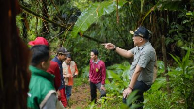 Wabup Barru Tinjau Lahan Kopi Pujananting, Dorong Hilirisasi dan Penguatan Branding Kopi Barru