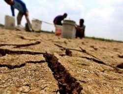 Maros Diprediksi Alami Kemarau hingga November