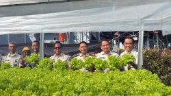 Pertanian Modern Ala WBP Lapas Narkotika Sungguminasa Berhasil Panen 25 Kilogram Pakcoy Hidroponik