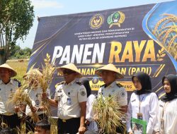 Wujud Program Pembinaan, Rutan Sidrap Panen Hasil Pembinaan WBP 