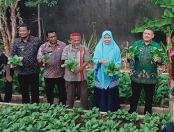 Berhasil Berkat Pendampingan DP2, Munafri Harap Urban Farming KWT Cinta jadi Contoh di Wilayah Lain