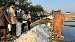Bupati Maros Kunjungi Sentra Garam di Bontoa