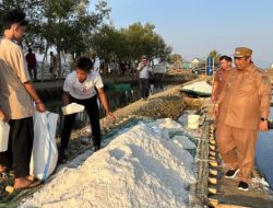 Bupati Maros Kunjungi Sentra Garam di Bontoa