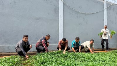 Dukung Ketahanan Pangan, Lapas Narkotika Sungguminasa Panen 50 Kg Kangkung Hasil Pembinaan WBP